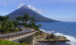 �����C��